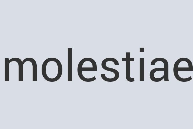 Ergonomic Plastic Peek-a-Pooch