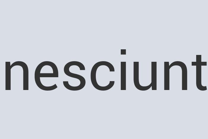 Enormous Iron The Toilet Triage