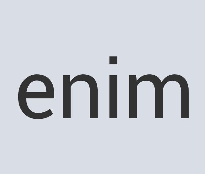 Heavy Duty Leather Prior IT