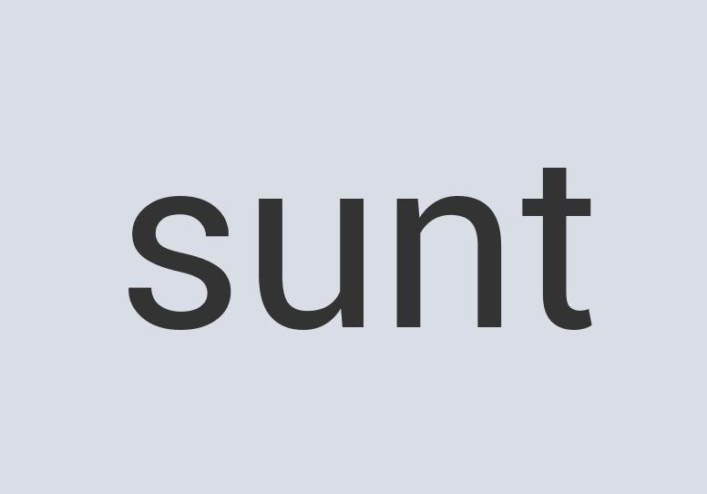 Mediocre Concrete Puppet Box