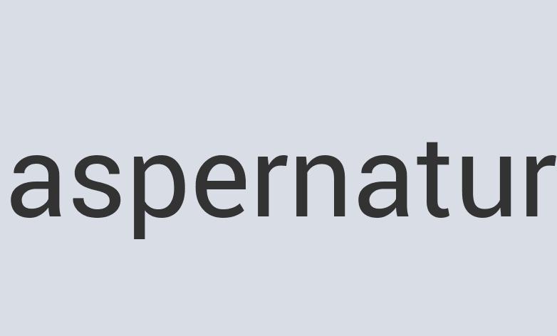 Gorgeous Silk Hair Peace